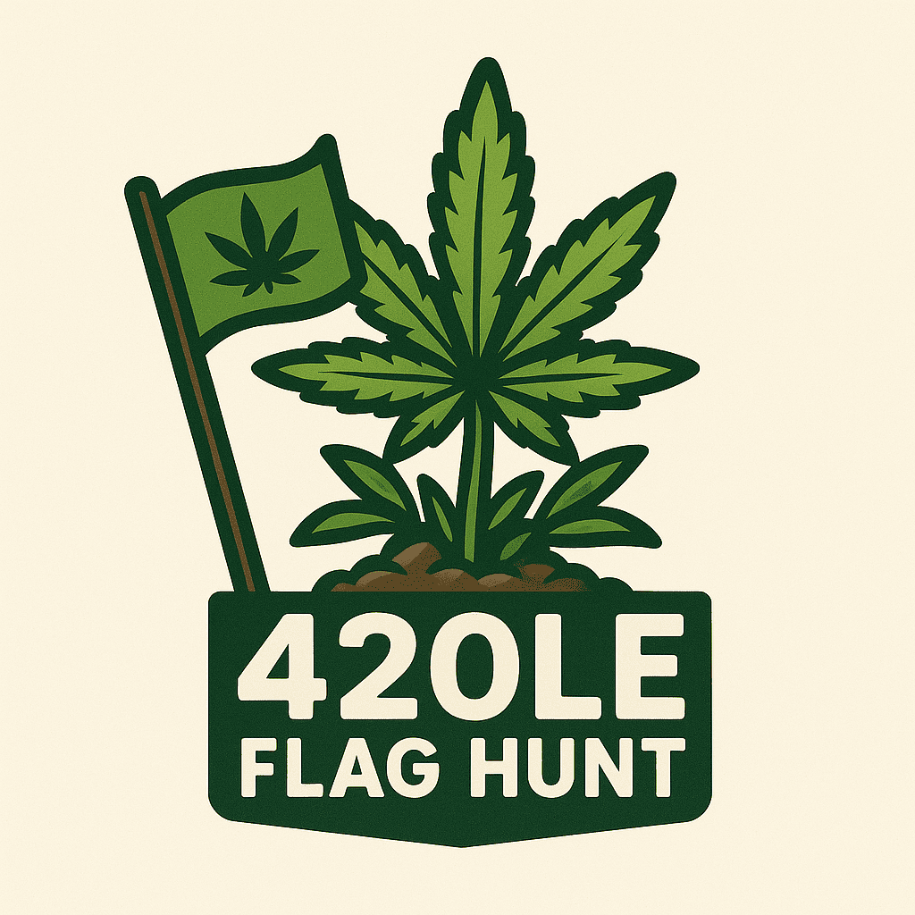 420le Flag Hunt